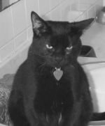 Banjo in a bad mood.  Imagine that.