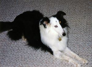Phantom (in classic Sphinx pose)