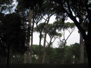 The view from my park bench