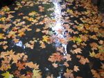 Rainy sidewalk, Via&nbsp;Merulana