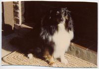 Gard—Can anybody tell where/when this picture might have been taken?